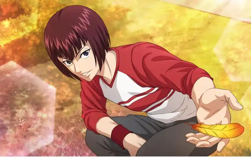 【新网球王子risingbeat】向日岳人ssr卡剧情《比羽毛更重要的是》