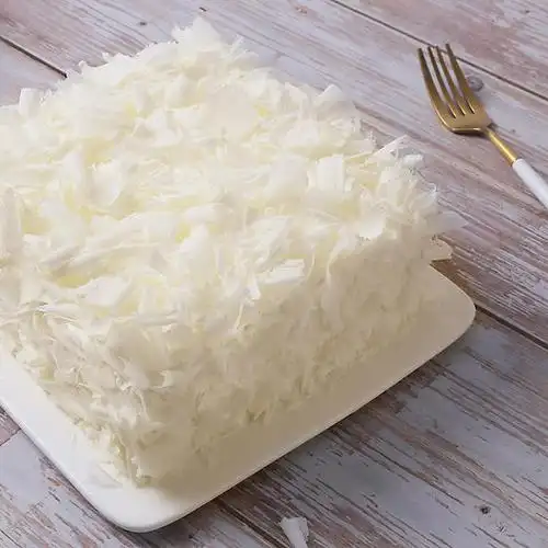 艾莲娜 | alina baraz