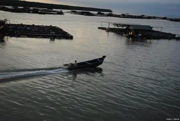 宁波奉化莼湖镇桐照码头,渔船林立!