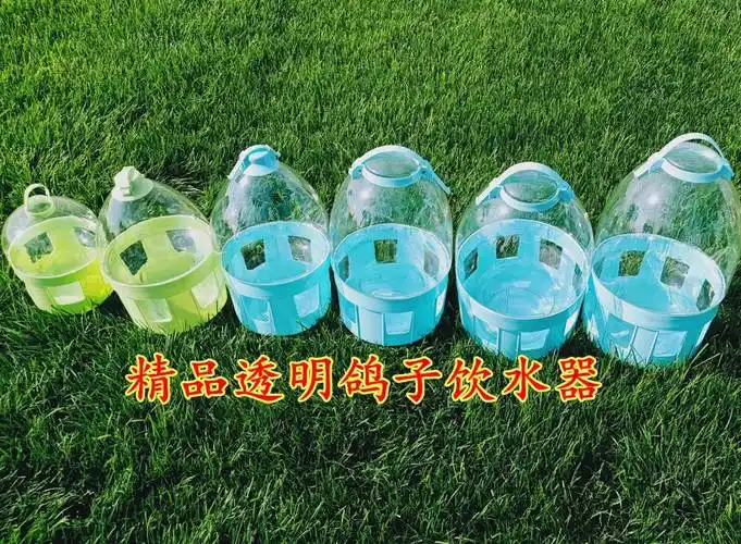 鸽子饮水器和食槽 信鸽自动饮水器陶瓷自动水壶鸽舍喂水器食槽鸽笼