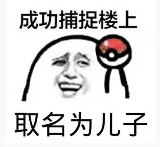 成功捕捉楼上,取名为儿子_取名为_捕捉_楼上表情
