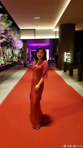 陈少霞晒照:到新加坡恭贺好友酒店开业,最欣赏机场两旁树木