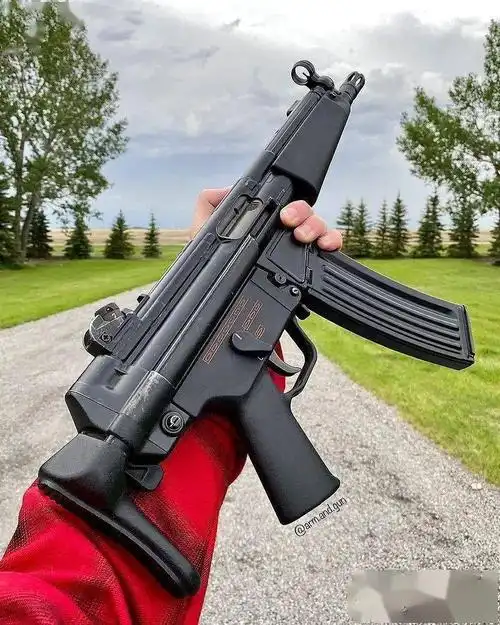 德系之美hk33hk53短突原品克隆版美图欣赏