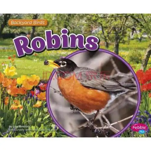 《robins》【摘要 书评 试读】- 京东图书