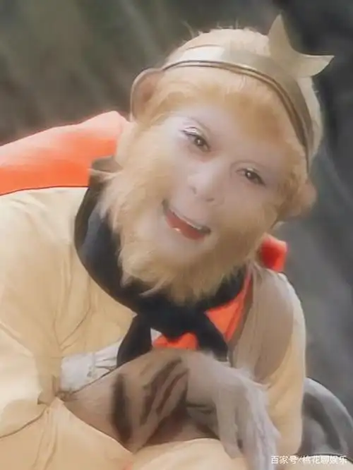 猴哥来了!有多少人因这一期《萌探探探案》而整哭的?