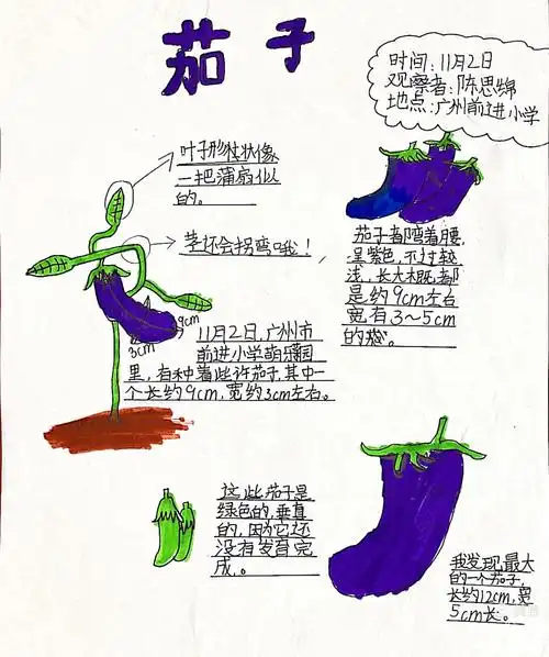 萌乐园的第一次自然观察日记202001102