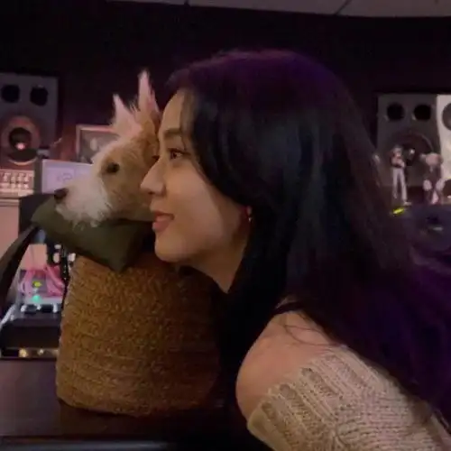 blackpink  #粉墨  #jisoo  #情头  #优质情头