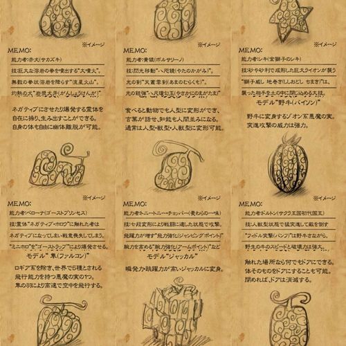 海贼王 恶魔果实 图鉴 画集 本子 尾田荣一郎漫画 周边 烧烧 橡皮