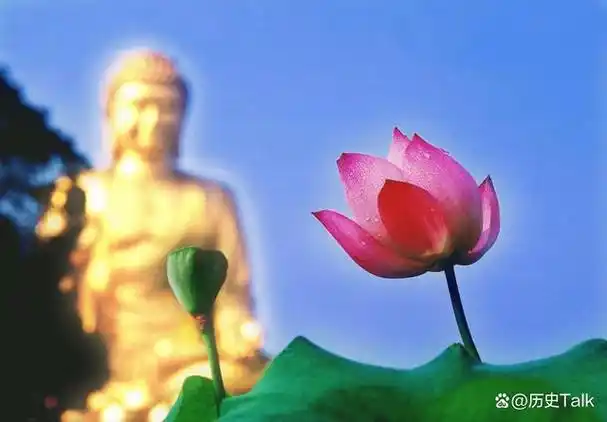 莲花的美丽不仅仅是视觉上的享受,更有着深刻的寓意.