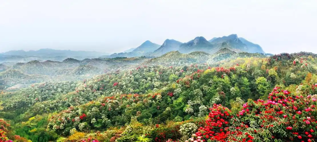 抖音挑战赛享趣毕节即将开启奖金池现金达20万