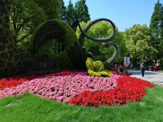 国际花展主题《花坛》进门左转即花团锦簇一路芬芳!