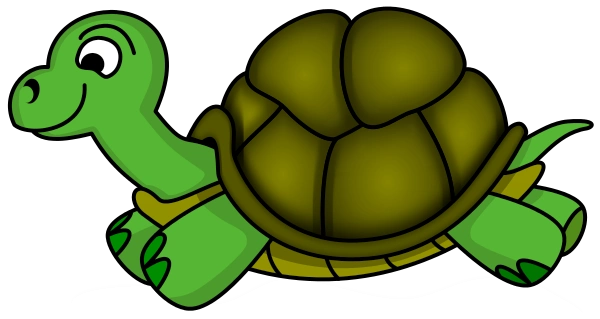 cartoon turtle images