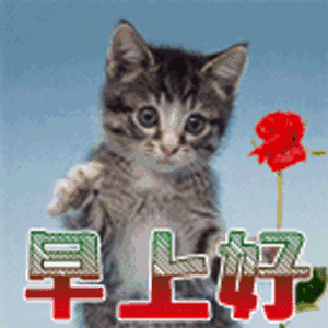 大家早上好!动态图片汇