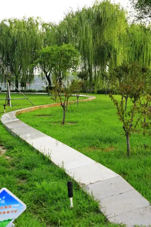 走进艺术公园森林城市.