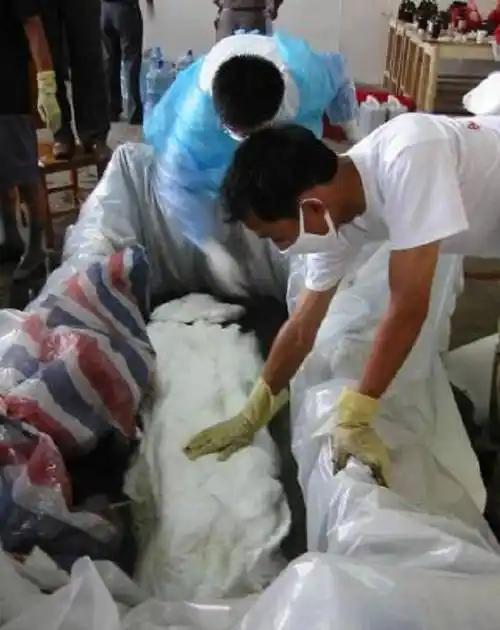 原创原创02年江苏挖出一副千年木棺棺中女尸尸身未腐五脏六腑保存完好