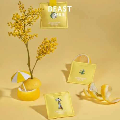 香挂套组车载香薰汽车香水生日礼物结婚礼物 早熟柠檬mini香挂套组