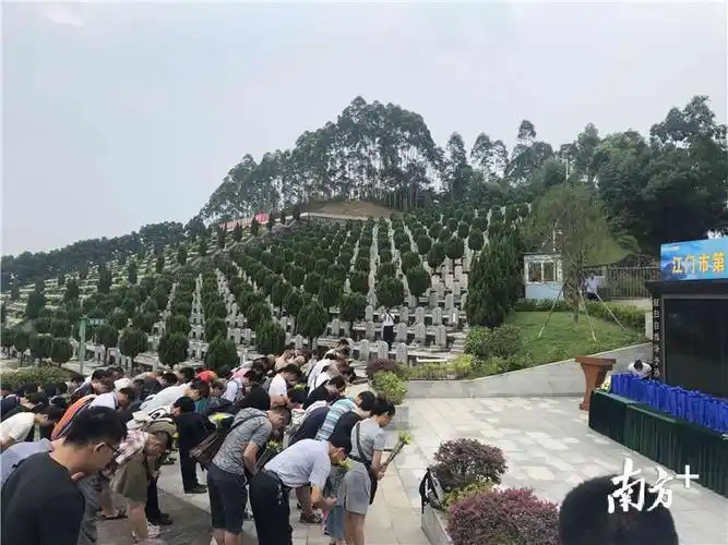骨灰随鲜花缓缓飘散,江门62位逝者长眠大海