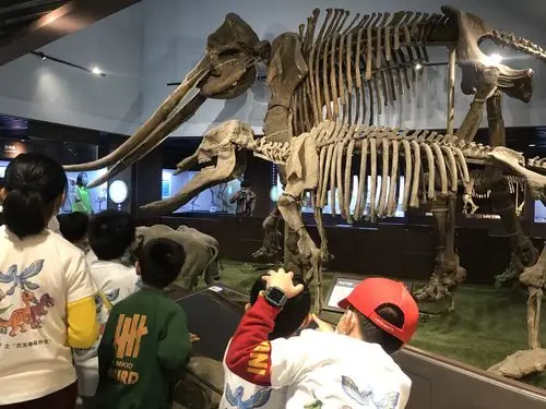 北京古动物馆2日游古生物奇妙夜重返侏罗纪夜宿博物馆与恐龙做邻居