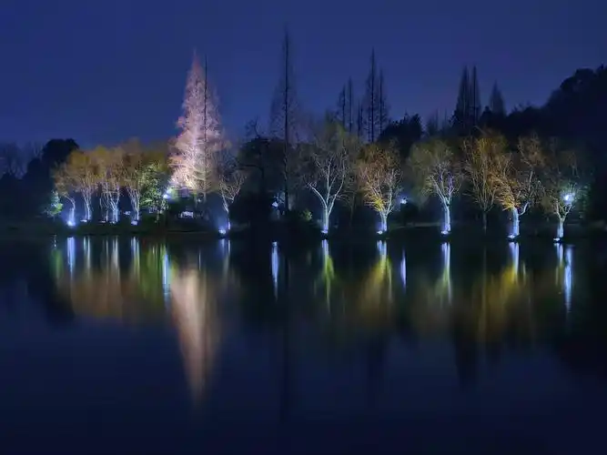 湘湖夜景 - 创作者150214036952162 - 图虫