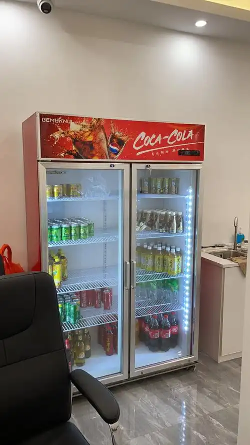 柜水果陈列柜冷藏保鲜立式冰柜商用冰箱冰柜点菜柜超市冰箱冷柜晒单图