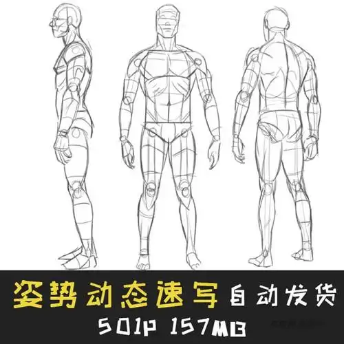 姿势动态速写500例 人体结构骨骼提炼线稿 手绘画动漫画美术素材