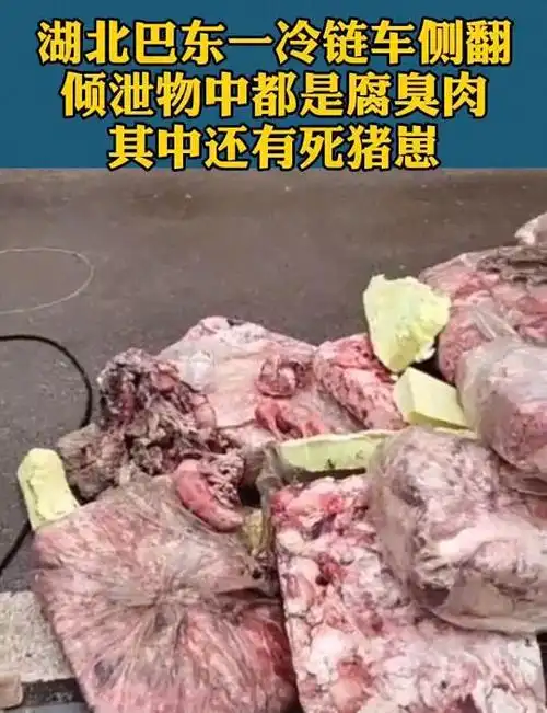 冷冻肉运输车翻车倾泻全是腐臭肉还有死猪仔无良商家有多无良