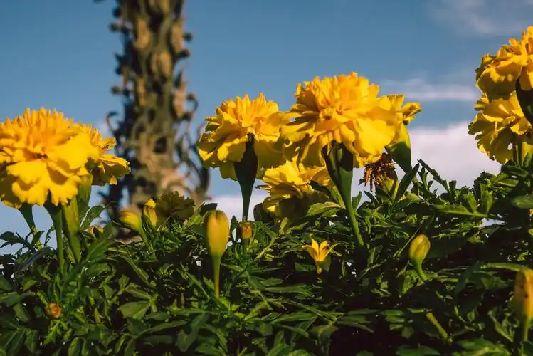 巧用光圈捕捉天地之美(3)