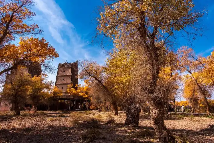 新疆巴楚红海景区
