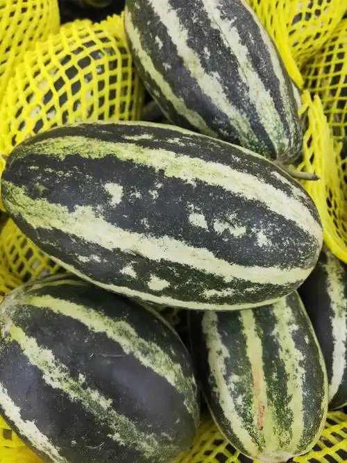 花甜瓜1.98元一斤