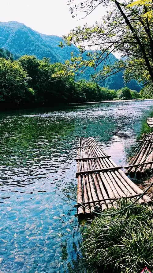 也就是大神仙居下面那片溪水环绕,竹林茂密的城镇