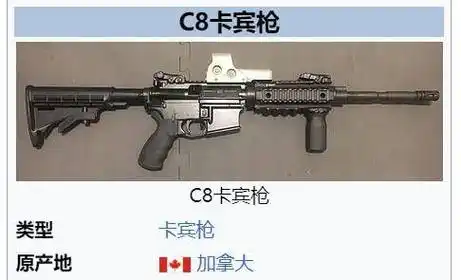 警方的军用突击步枪被偷了:1分钟950发子弹!_枪支_犯罪_angus