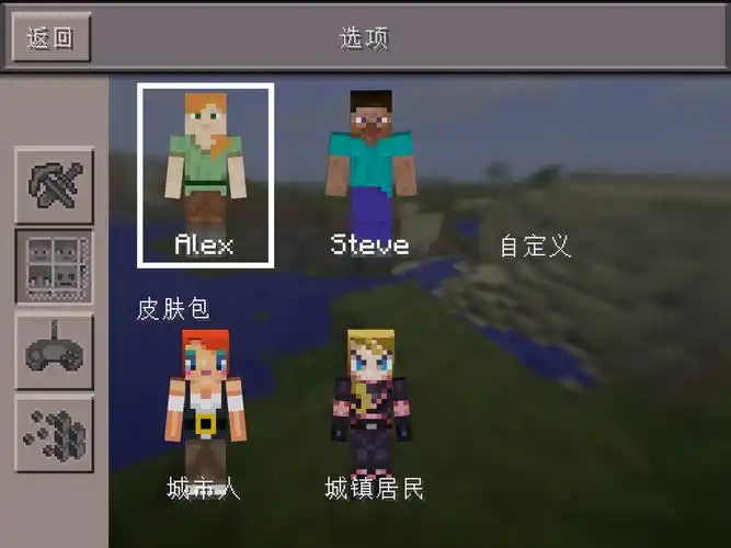 我的世界自定义皮肤要用哪种图片?可以发几张给我么,要女生的,谢谢