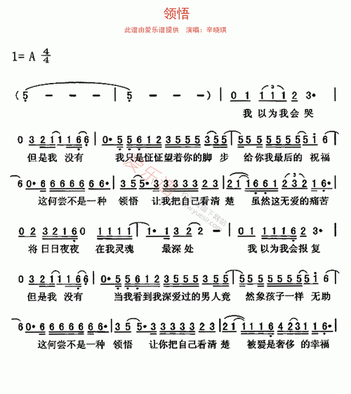 辛晓琪《领悟》