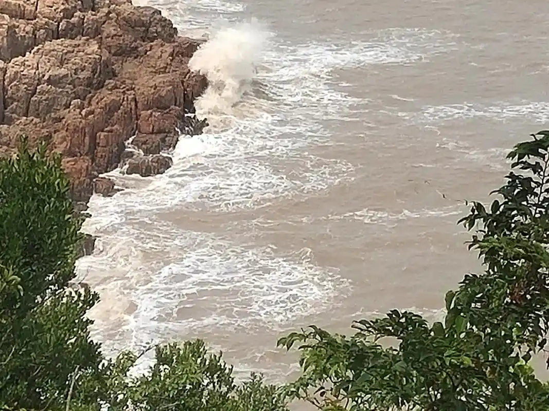 只有照片能记录这份珍贵  - 陈国英 - 抖音