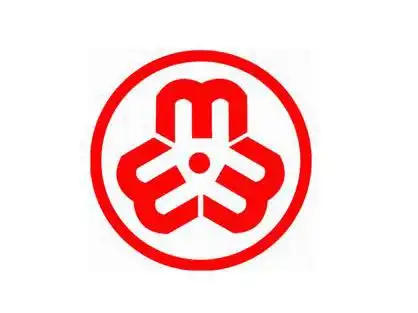 全国妇联将面临重大改革 上海重庆先行试点