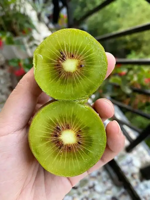 拼xx水果女孩来了