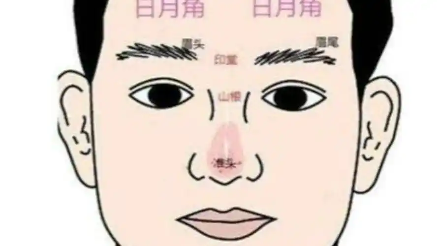 额头日月角七种不同的特征,代表哪些不同的意义?