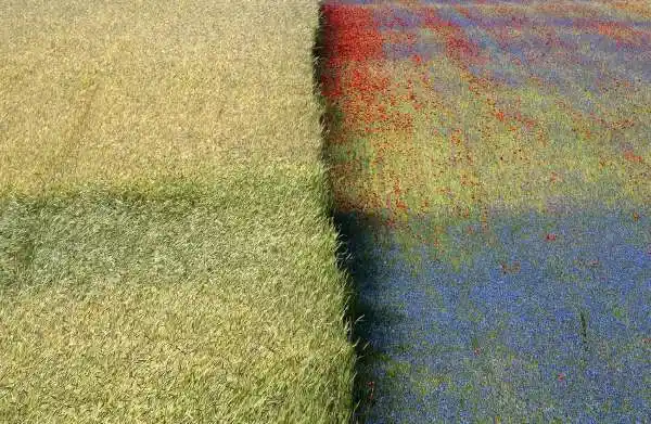 自然界中那些阴阳结合的壮观景象