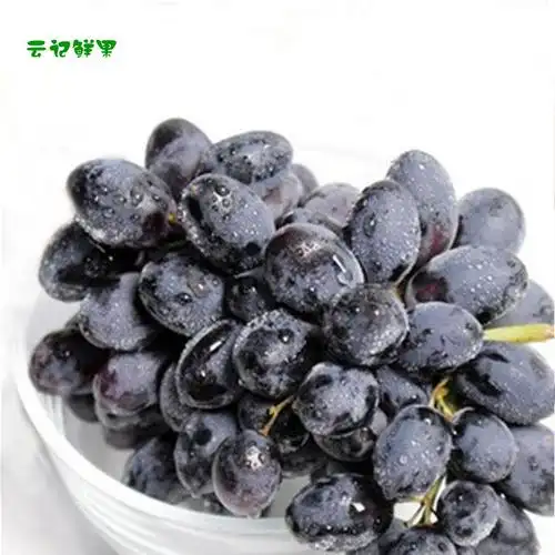 黑提子葡萄黑加仑提子新鲜水果美国进口无籽黑提时令有机超甜3斤