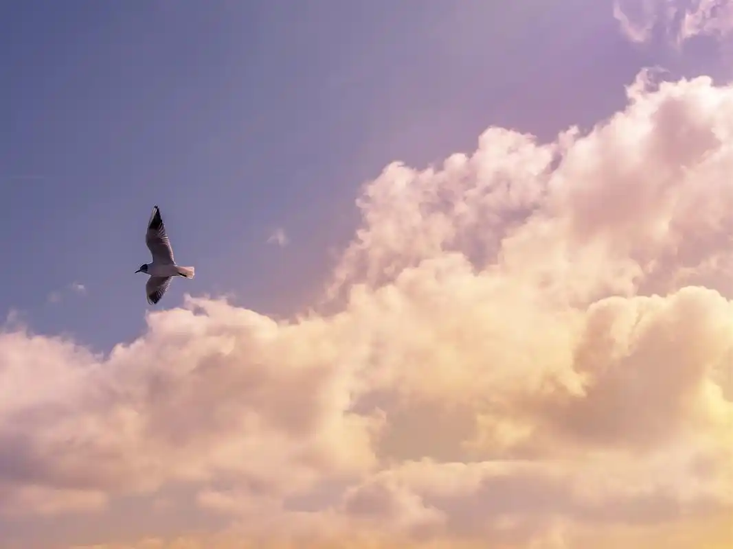 空灵明净天空云海唯美高清壁纸