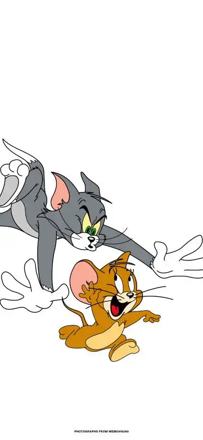 tom&jerry 猫和老鼠