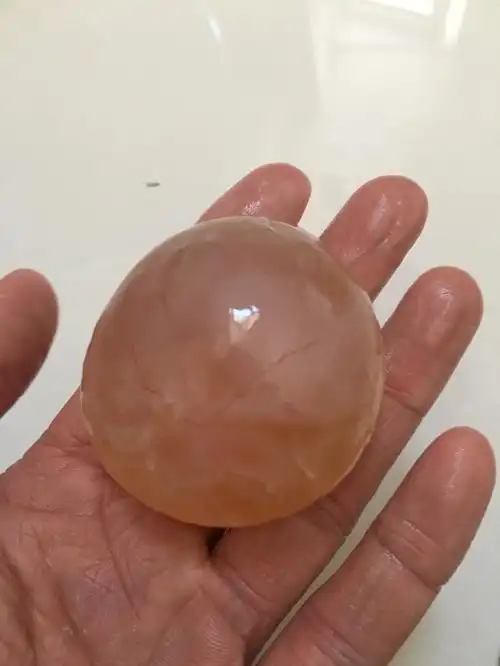 马的卵泡长啥样?