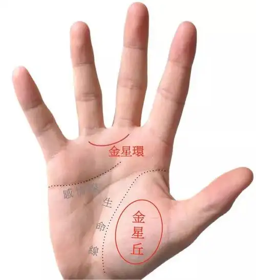 p>金星带可称为 a target="_blank" href="/item/感情线/80230" data