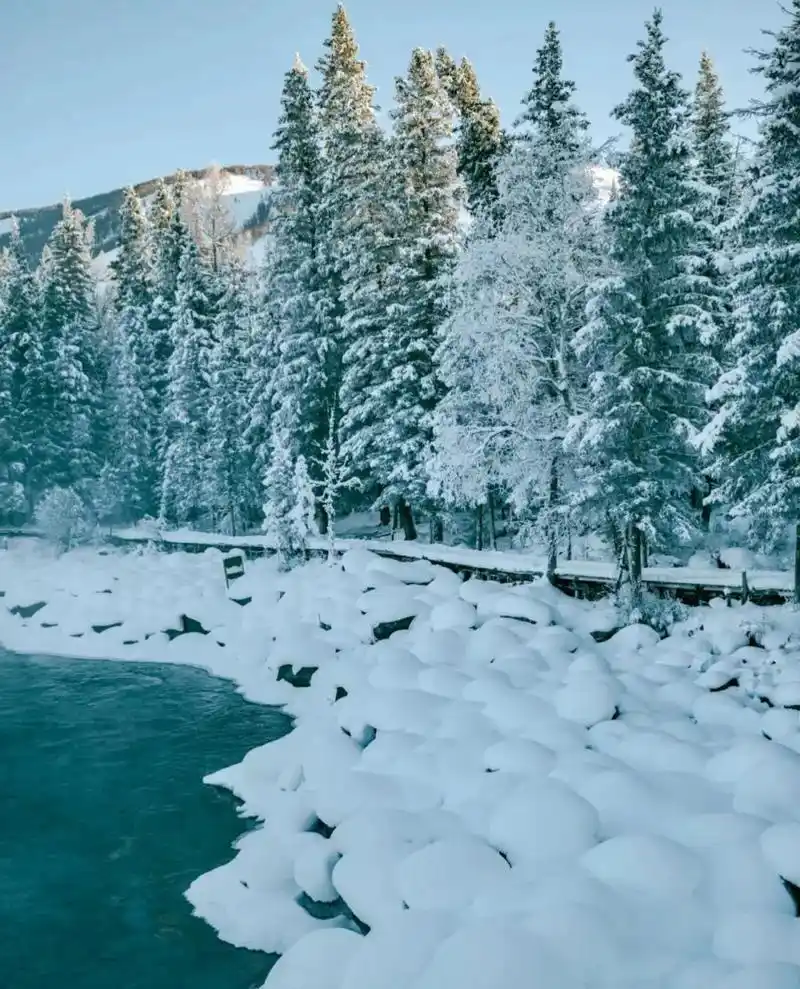 北国风光,千里冰封,万里雪飘的林海雪原风光. - 抖音