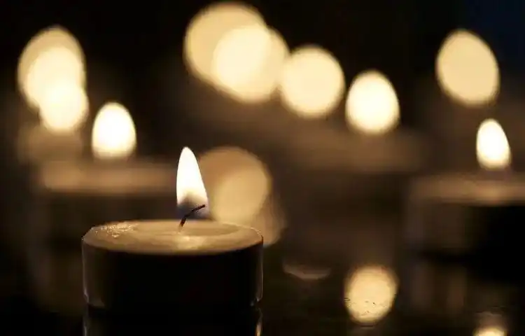 病毒无情 人间有爱逝者安息 生者奋发严冬之后必有万物复苏 夏花烂漫