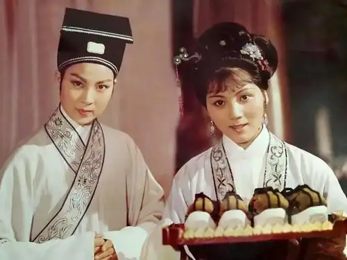 三女杨三春(何英 饰)夫婿邹应龙(方雪雯 饰)0303子女之间,一碗水端平