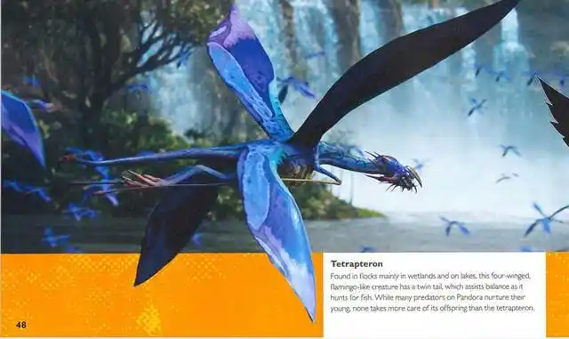 阿凡达空中生物档案这样的设计合理吗