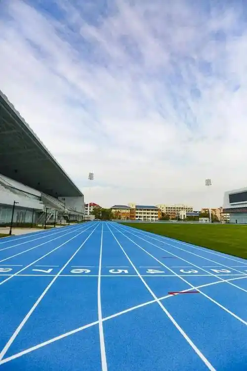 助力上海川沙体育场顺利通过田协一类场地认证_中国田径协会_运动