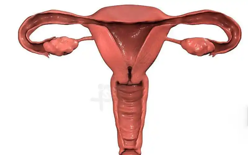 子宫畸形女性怀孕后会有并发症