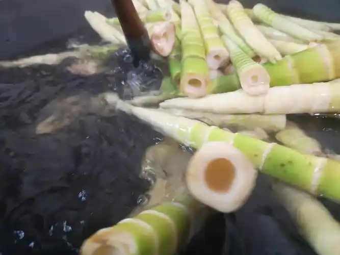 八月方笋～大自然的馈赠佳肴